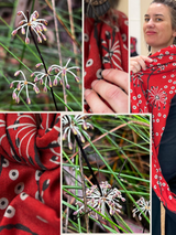 Loop de loop Scarf - Lomandra